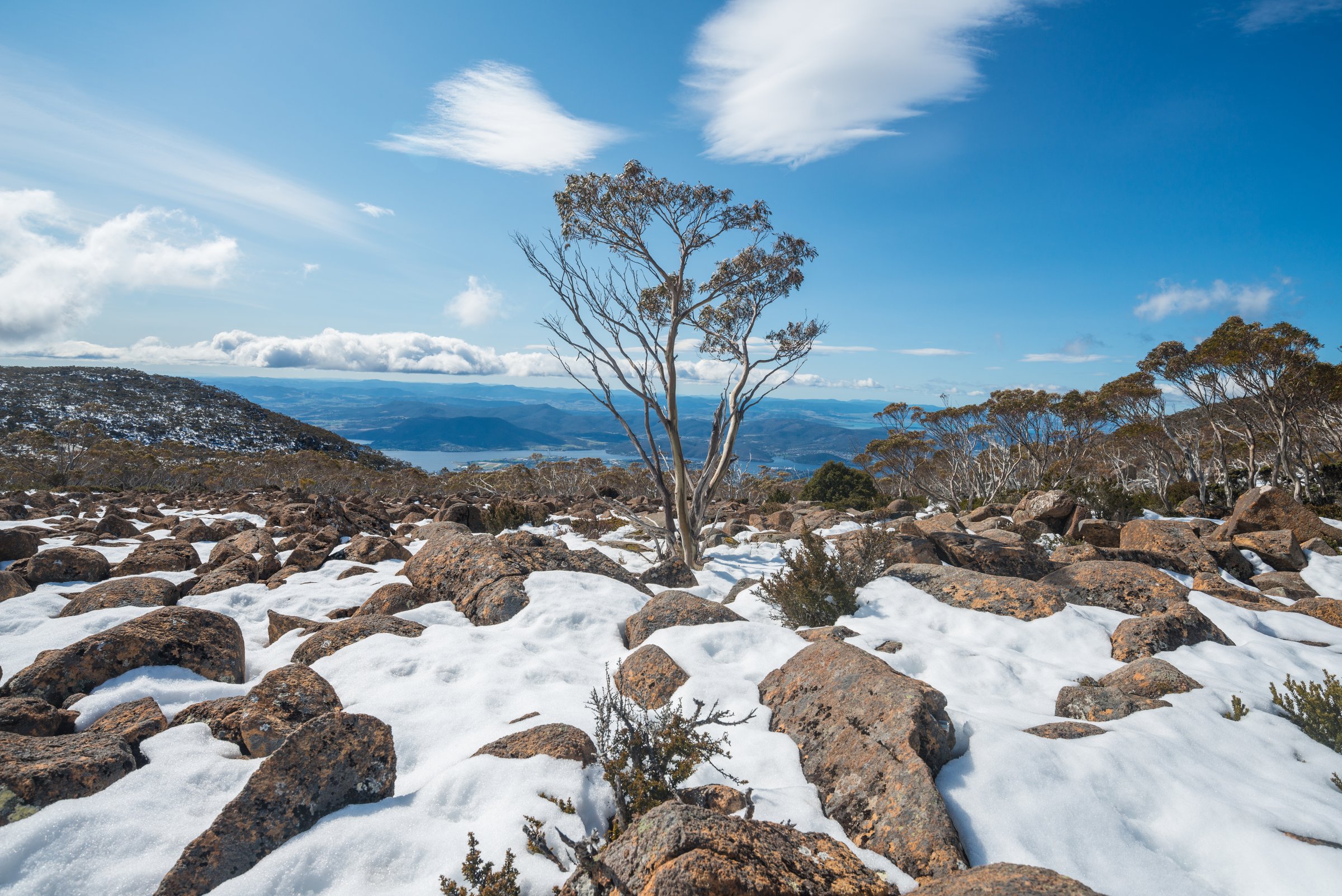 Mount Mawson