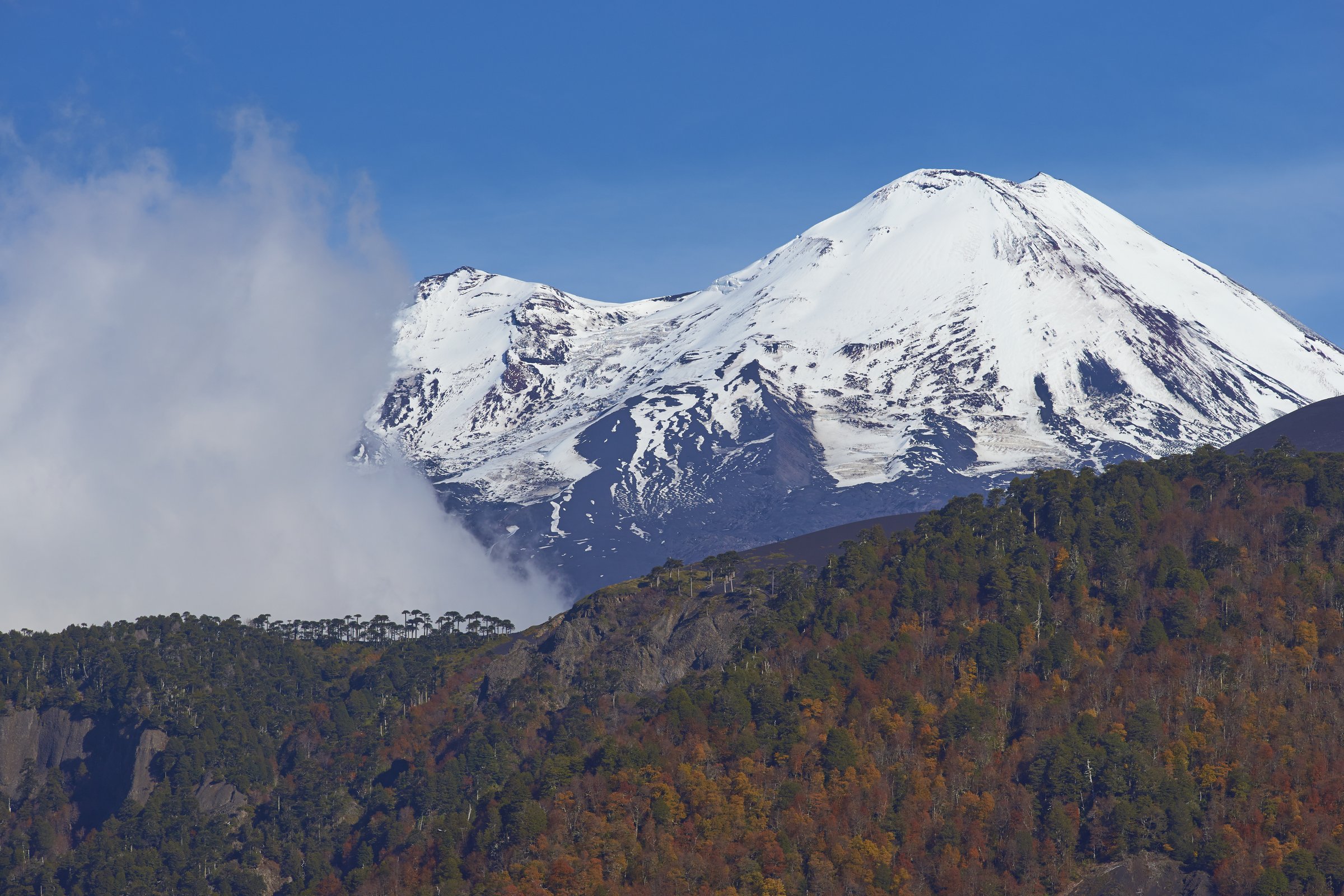 Llaima