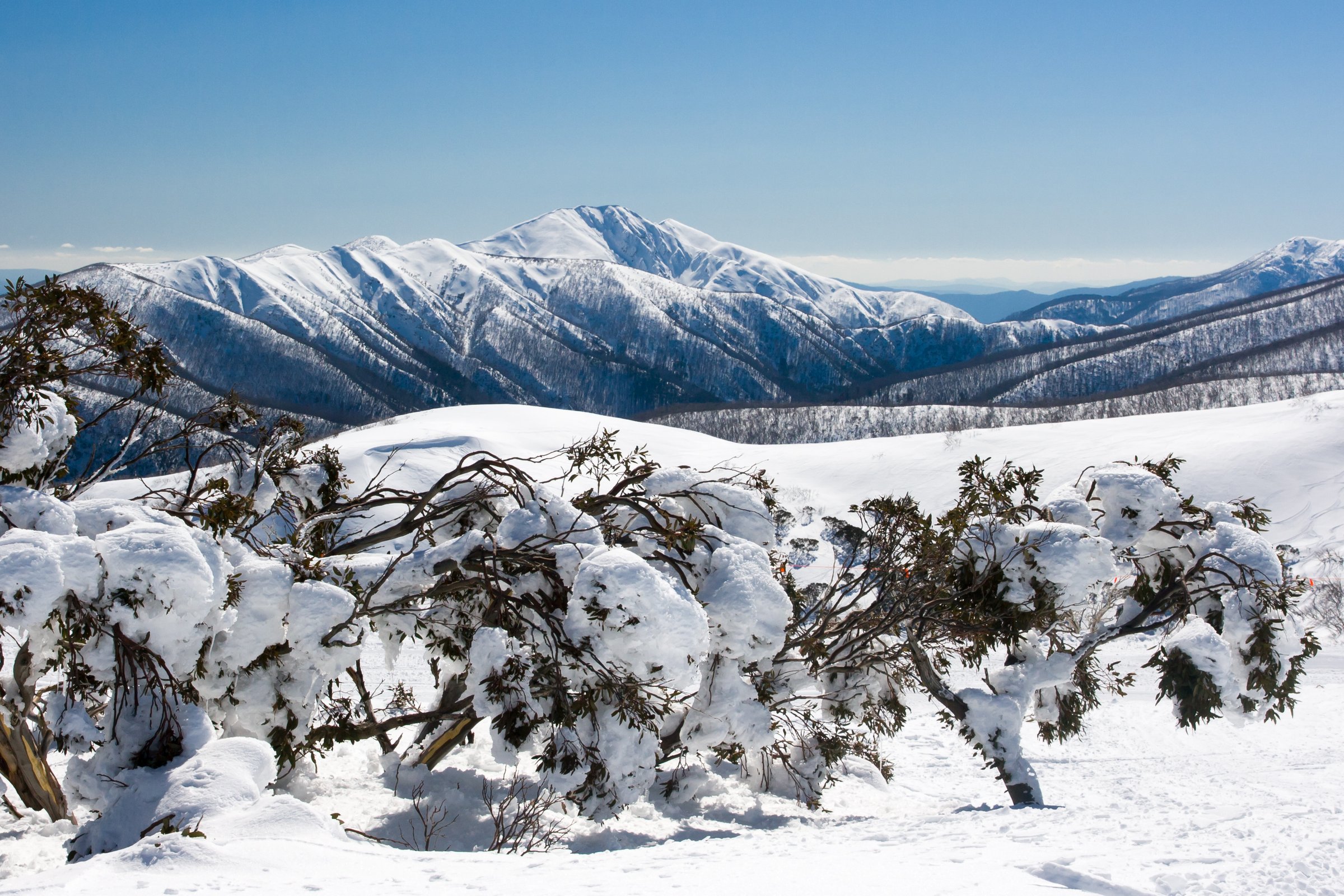Mount Hotham