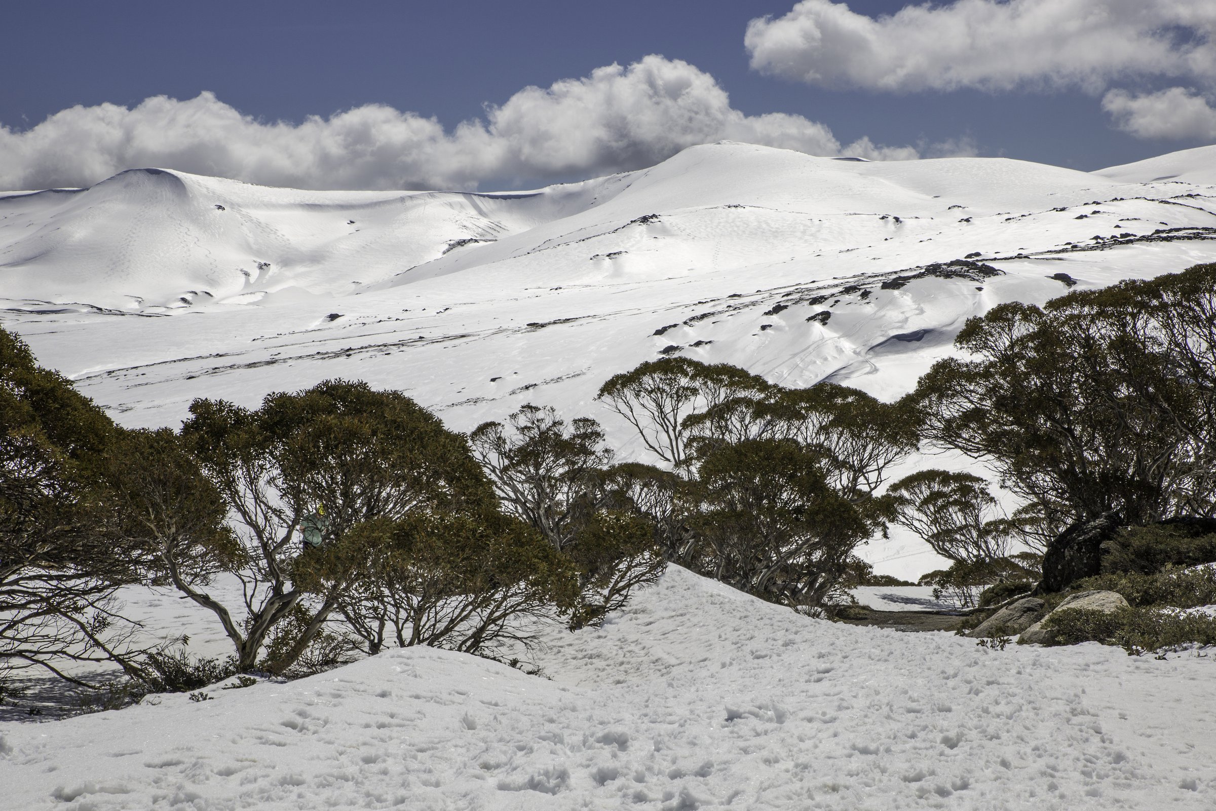Charlotte Pass