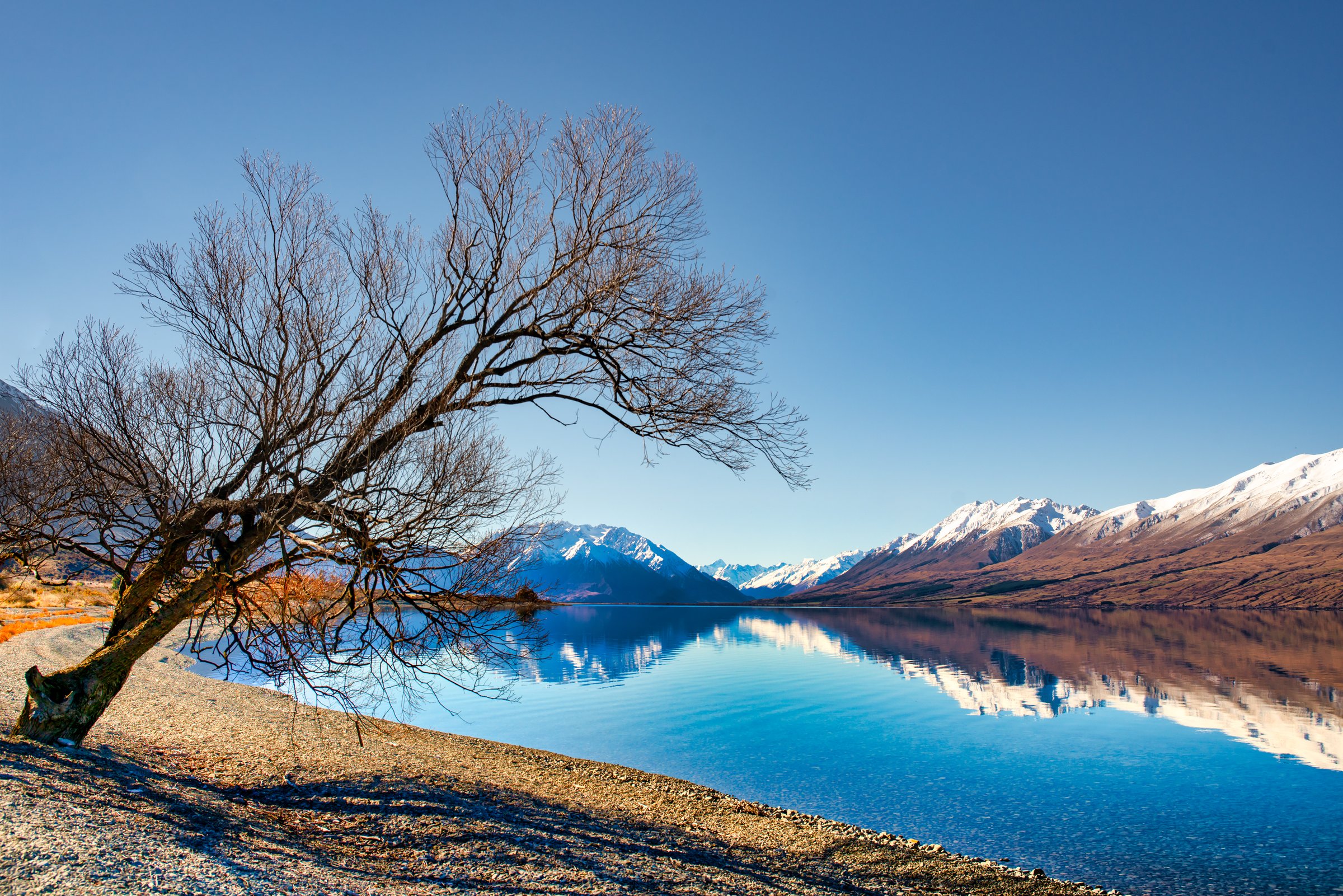 Ohau